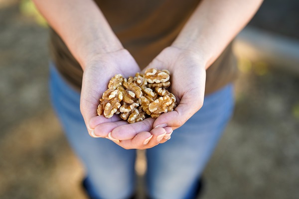 Young Adults Consuming Walnuts Reported Improved Sleep Quality, New Study Finds Young Adults Consuming Walnuts Reported Improved Sleep Quality, New Study Finds