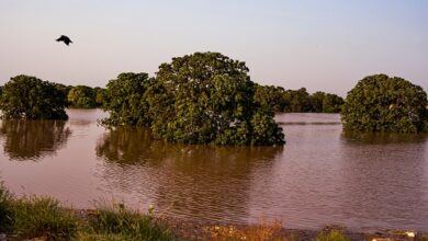 Rs. 2.3+ Crore Raised on Impact Guru to Help Punjab’s Flood Survivors Rebuild Their Lives